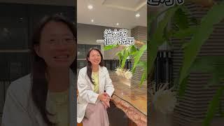 【實現願望的花?你看過嗎?】#shorts #醫能好物市集#慈文醫師#曇花