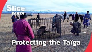 The Red Taïga mission: Preserving Mongolia’s wild heart | SLICE EARTH | FULL DOC