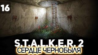 Сидорович, Кордон и бункеры ️ S.T.A.L.K.E.R. 2: Heart of Chornobyl [PC 2024] #16