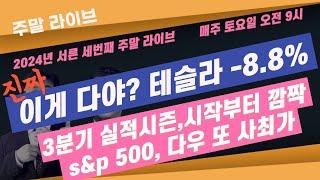 [주말 라이브]  진짜 이게 다야? 테슬라 실망매물 급증 -8.8%, 3분기 실적  시작부터 깜짝이다 #이항영 #미주미