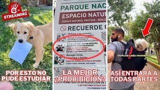 Si tu perro NO ESTÁ EDUCADO, puedes ARRUINAR tu futuro... 