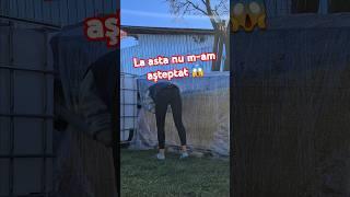 Aparențele înşeală @sby93_team #funny #shorts #viralvideo #comedy