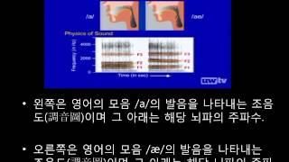 영어 공부의 결정적 시기 - (조기 언어 교육에 관한 뇌과학의 새로운 발견)