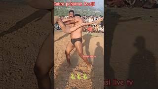 cobra pahalvan #dangal #kushtidangal #reasilivetv #jammu live tv