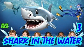 SHARK IN THE WATER GAME 3 | EXERCISE BRAIN BREAK FOR KIDS | RUN HIDE AND STRETCH | FLOOR IS LAVA