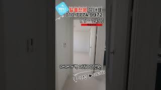 [도화동급매물] 막힘없는 채광좋은 급매빌라! 방3화2베1 넓은 광폭거실 마운틴뷰! 풀영상 꼭 보세요! [5-245] #미추홀구빌라 #도화동빌라 #준신축빌라