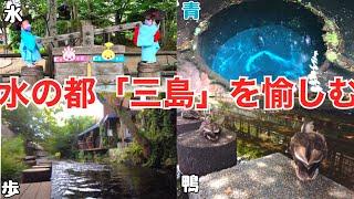 【三島観光】水の都 三島駅周辺を歩く 楽寿園 源兵衛川 柿田川公園 鮎壺の滝 三嶋大社 静岡観光 伊豆観光