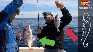 How to fish easily from the boat (with Luigi Puretti) !!