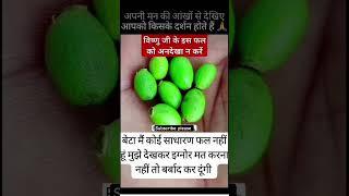 विष्णु जी के इस फल कौ अनदेखा ना करें #vishnu​​ #vishnupurana​​ #vishnupurana​​