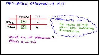 Calculating Opportunity Cost