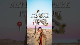What to Do in Joshua Tree National Park Day Trip Itinerary 