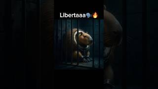 Burbaloni Luliloli Libertaaa