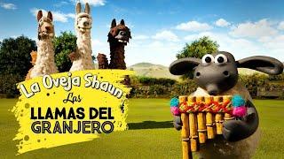 Shaun The Sheep Season 5 Episode 4 : Shaun The Sheep Season 5 [STS RELEASE] | Shaun The Sheep