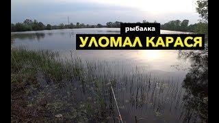 Ловля карася на поплавок в камышах