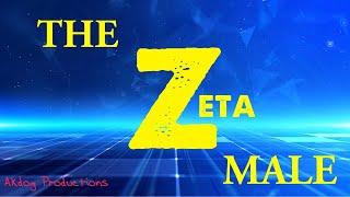 The Lone Assassin! The MGTOW! The Zeta Male! Watch this amazing video