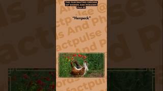 Henpeck | The Fascinating Origins Of Words And Phrases #part51 | #factpulse