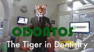 Odontos: The Tiger in Dentistry