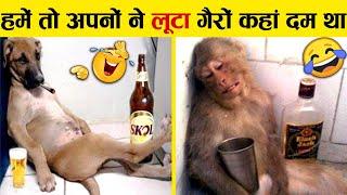 इन जानवरों से पंगा ना बाबा ना .... Funny Animals Video 2022 (Part-3)