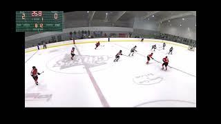 #10 AYHL Deflection goal VS Mercer Chiefs