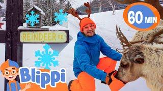 Blippi's Reindeer Adventure! | Festive Educational Videos for Kids