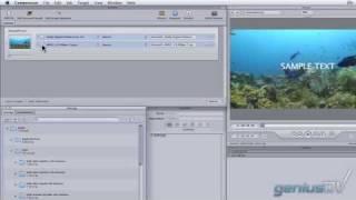 FCP to DVD Studio Pro using Compressor