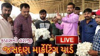  live cotton auction in Jasdan market yard। Kishan review ।।Forex trading।। forex