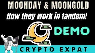 MOONDAY Review + MOONGOLD Just Launched | How they work in tandem | DEMO Walk through inside