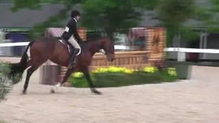 Video of TRUE COLORS ridden by ASHLEY VOGEL from ShowNet!