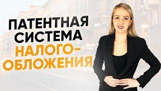 Патентная система налогообложения  Что такое ПСН? Кто может использовать патент? Как начать бизнес?