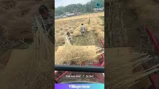 This Crop-Eating Machine is My New Favorite ASMR!  So SATISFYING! #oddlysatisfying #asmr #farming