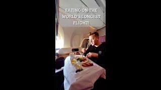 Food On The World's Longest Flight 19 Hours - New York to Singapore!