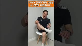 좌골신경통 15초 만에 줄이는 스트레칭