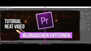 Bildrauschen entfernen mit Neat Video | Premiere Pro Noise Reduction