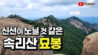 안가면 후회하는 속리산 숨은 비경, 묘봉 | 탐방예약제 시행 | 눈호강 몸고생 | 상학봉 | 시선이 머무는 곳이 비경