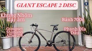 Giant Escape 2 Disc | Chính Hãng Giá Tốt