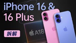 iPhone 16&16 Plus 拆解：被刀法耽误的标准版【享拆】- 微机分WekiHome