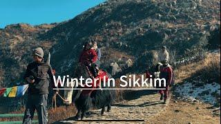 Sikkim in December Vlog Part 2 | Sikkim in Winter | Travel vlog | samyvisuals