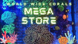 visiting the world wide corals mega store at Orlando Florida.