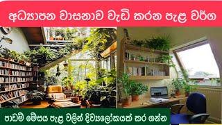 පාඩම් මේසය උඩ තියා ගන්න හොඳ Indoor Plants 🪴පාඩමට හිත පොළඹවන පැළ/ indoor plants for study table