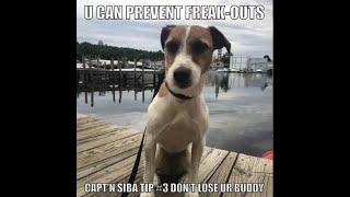 Capt'n Siba - You Can Prevent Freakouts