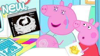 Peppa Pig Tales 2025 🩺 EVIE Ultrasound  BRAND NEW Peppa Pig Episodes
