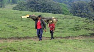 Himalayan life of Nepal