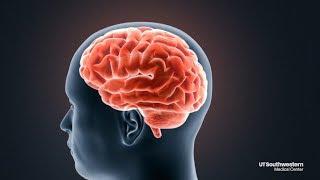 Researchers unlock new window into human memory