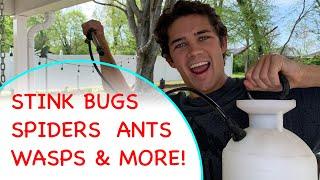 DIY Pest Control for Beginners