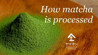 【抹茶】How Matcha is Processed｜Japan｜Kyoto｜Organic｜Matcha｜Greentea｜