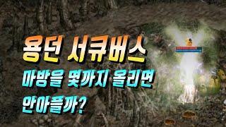 [린프로] 용던 서큐버스 마방 속성방어를 올리면 과연 안아플까? 리니지 리마스터 Lineage Remastered