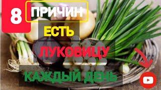 ПОЛЬЗА ЛУКА | ЛУКОВИЦА | РЕПЧАТЫЙ ЛУК | ЗЕЛЁНЫЙ ЛУК