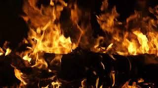 Burning Wood Chillout - ASMR