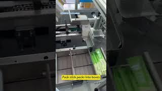 Stick Packs Cartoning Machine | Automatic counting