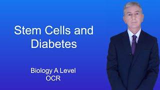 A Level Biology Revision (Year 13) "Stem Cells and Diabetes"